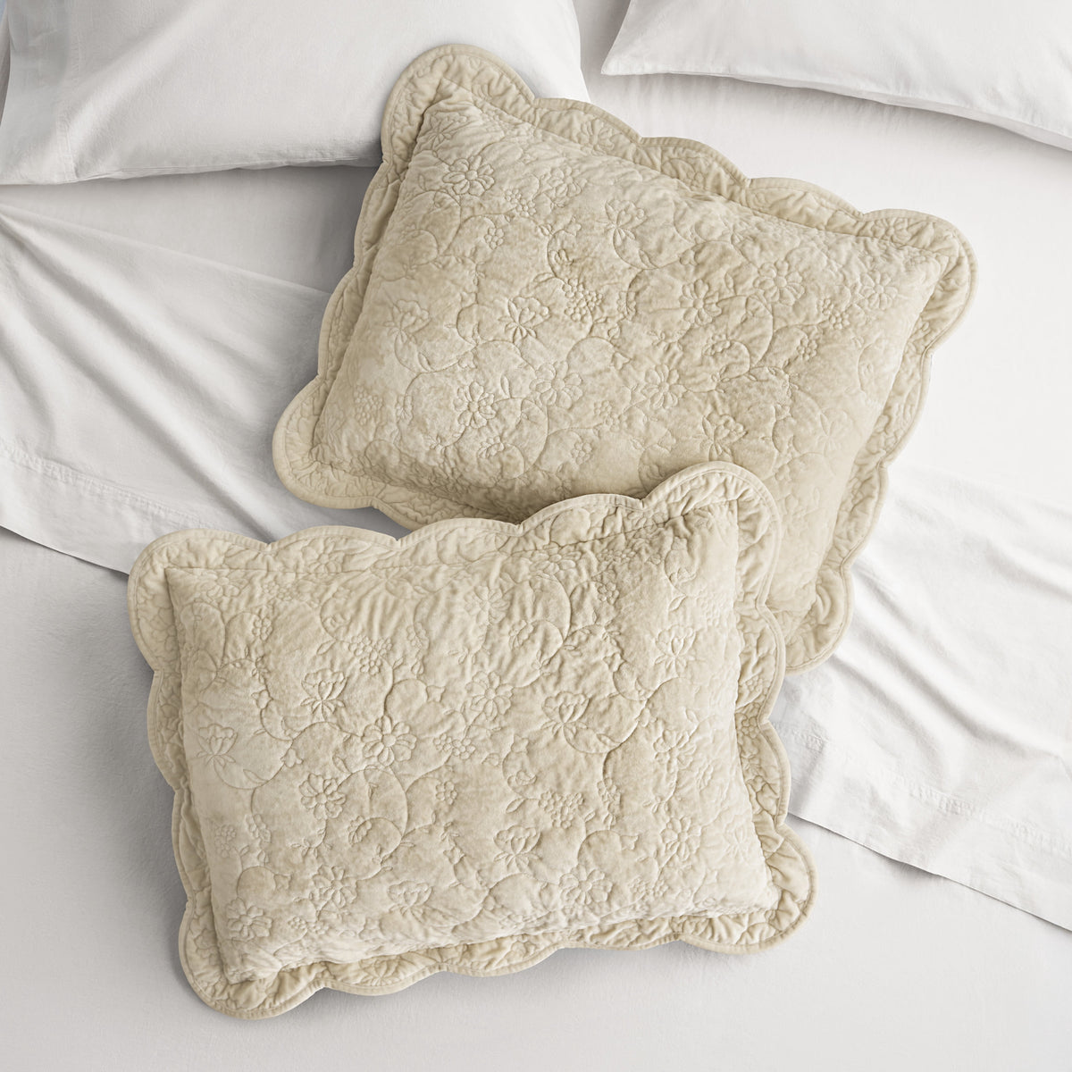 Cottage Bloom Agatha Floral Gauze Pillow Sham, Standard, Blue Dust, 2 Pack