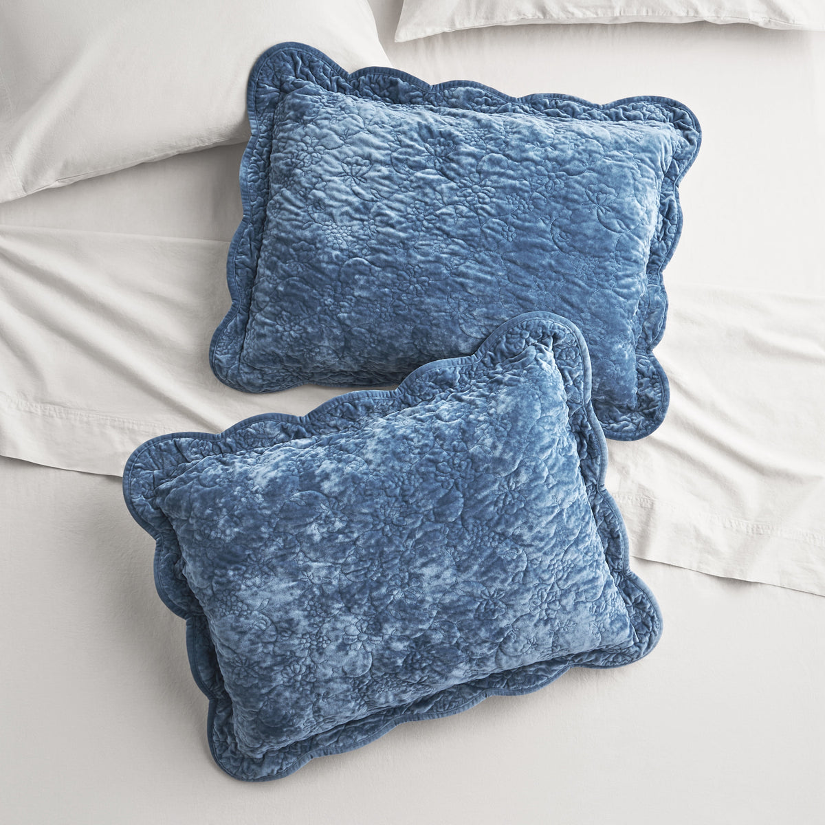 Cottage Bloom Agatha Floral Gauze Pillow Sham, Standard, Blue Dust, 2 Pack
