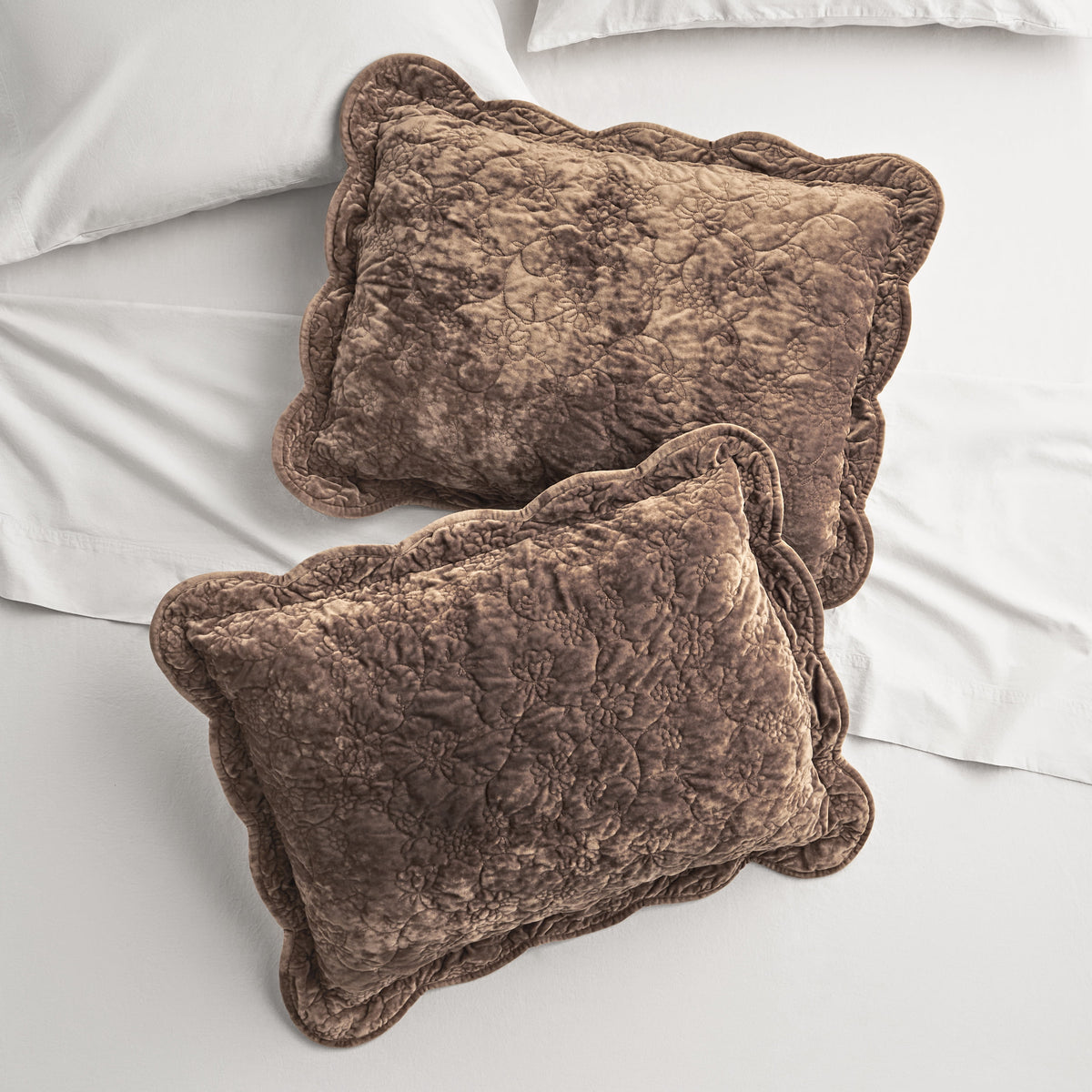 Cottage Bloom Agatha Floral Gauze Pillow Sham, Standard, Blue Dust, 2 Pack