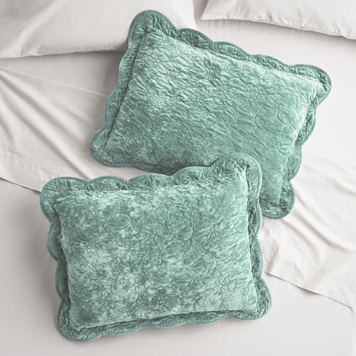 Cottage Bloom Agatha Floral Gauze Pillow Sham, Standard, Blue Dust, 2 Pack