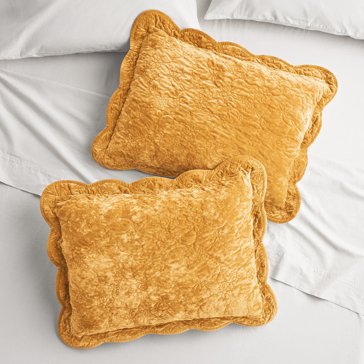 Cottage Bloom Agatha Floral Gauze Pillow Sham, Standard, Blue Dust, 2 Pack
