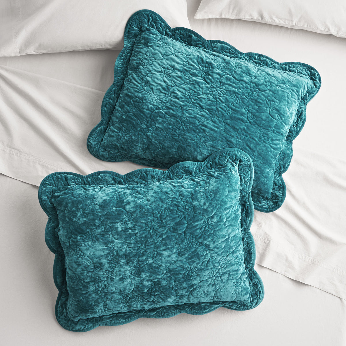 Cottage Bloom Agatha Floral Gauze Pillow Sham, Standard, Blue Dust, 2 Pack